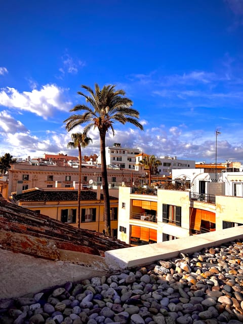 Palma authentically. Small group City tour with tapas - Starting at LENNOX Pub: where the tour feels easy to join