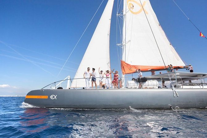 Palma Bay Catamaran Half-Day Cruise - Should you book this Palma Bay catamaran?