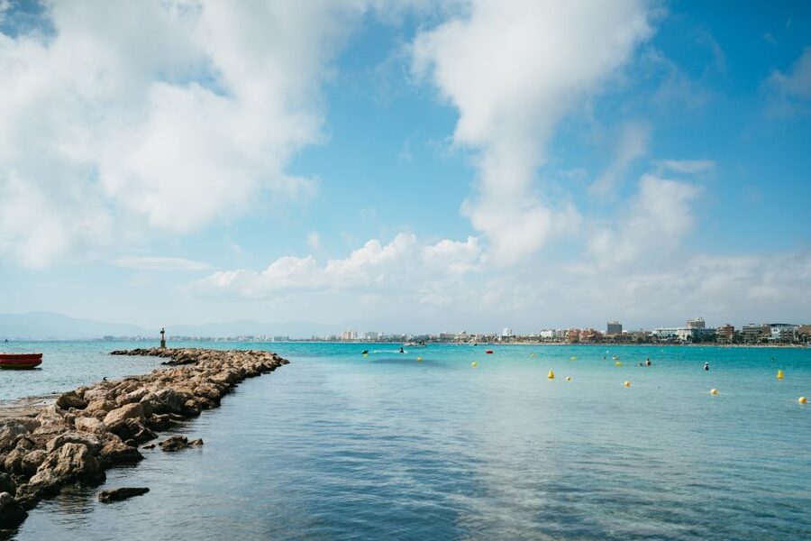 Palma Bay: Parasailing Experience - Palma Bay Parasailing: the view is the real main event