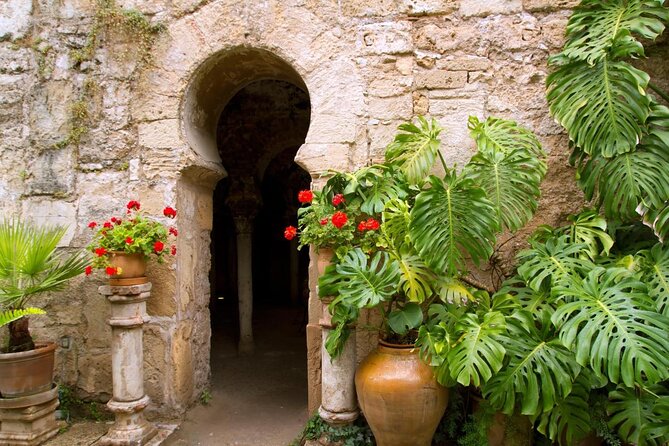 Palma Cathedral & Surroundings PRIVATE TOUR with Ticket Included - Key Highlights You’ll Care About