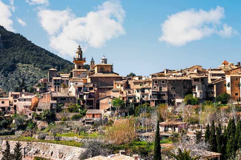 Palma, Cathedral & Valldemossa: Guided walking Tour - Parc de la Mar meet-up: how this day actually starts