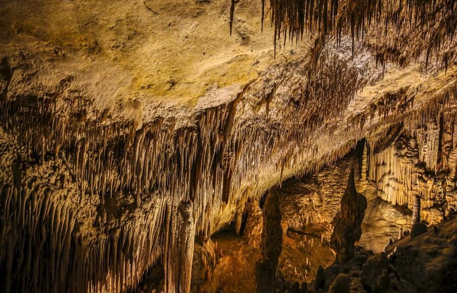 Palma: Caves of Drach Entrance, Music Concert, and Boat Trip - Key things to know before you go