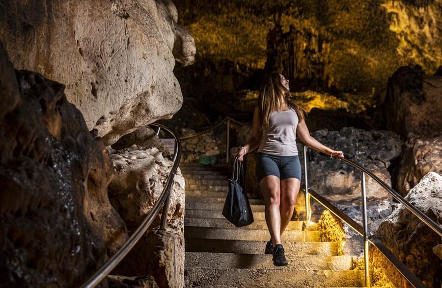 Palma: Caves of Drach Entrance, Music Concert, and Boat Trip - Should you book this Drach caves plus concert day trip?