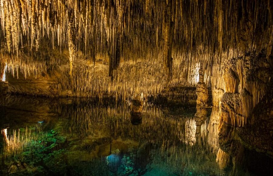 Palma: Caves of Drach Entrance, Music Concert, and Boat Trip - Bus ride, pickup, and finding the meeting point without stress