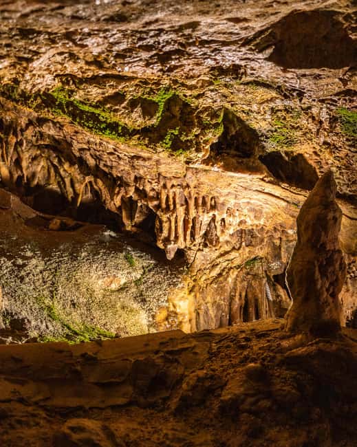 Palma: Caves of Genova Ticket & Digital Audio Guide - Getting to Cuevas de Génova: quick escape from Palma