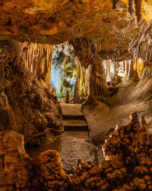 Palma: Caves of Genova Ticket & Digital Audio Guide - Value check: is $14 worth it?