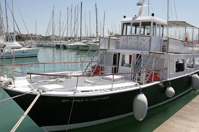 Palma city cruise with iconic views - Value check: is $22.99 worth a one-hour cruise?