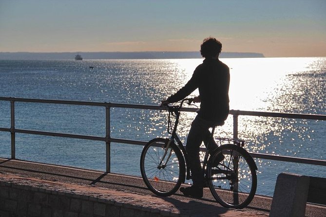 Palma de Mallorca 3-Hour Highlights and Tapas Tasting Bike Tour - Cathedral de Mallorca (La Seu): The Skyline Star