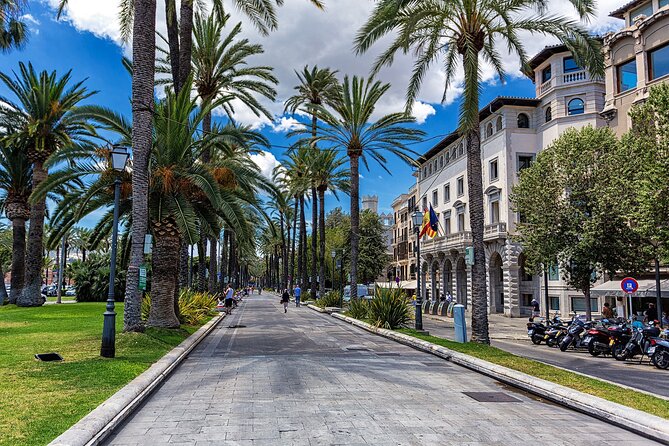 Palma de Mallorca and Valldemossa Excursion from Cruise Port - Palma Cathedral (La Seu): what you get in 30 minutes