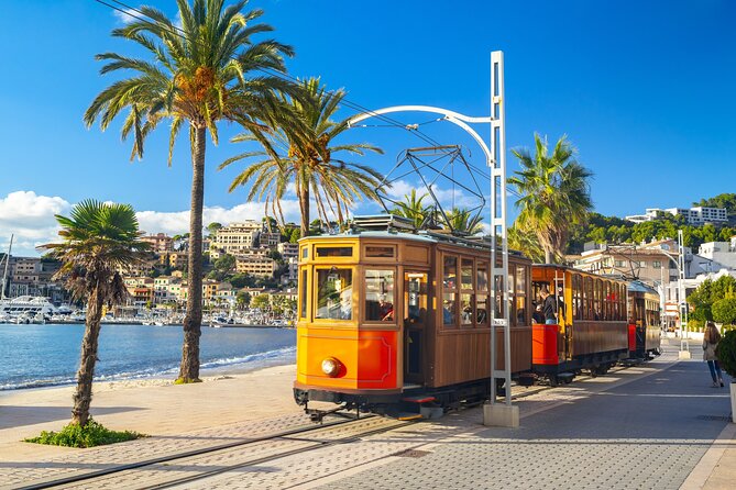 Palma de Mallorca and Valldemossa Excursion from Cruise Port - Price and value: what $71 buys you on a cruise day