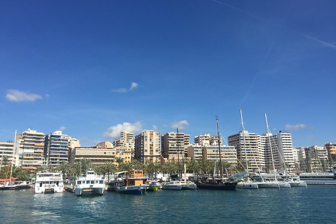 Palma de Mallorca Bay Boat Trip - Who This Boat Trip Suits Best (And Who Should Skip It)