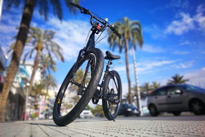 Palma de Mallorca Bike Tour with tapas - Pass-by basilicas, city hall views, and an olive tree you’ll remember