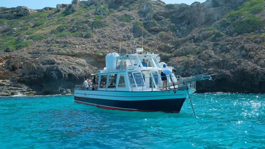 Palma de Mallorca: Cala Vella Snorkeling Adventure - Quick take: what stands out most