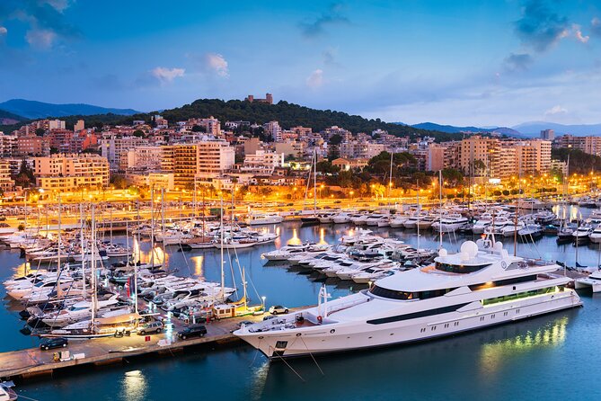Palma de Mallorca: City Walk Audio Guide in 7 Languages on Phone - Stop 4 (Pass By): Plaça de la Llotja and the Lonja/fish market feel