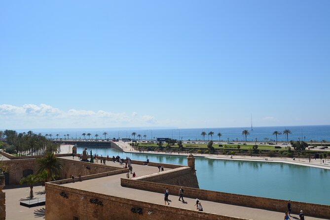 Palma de Mallorca Easy Bike Tour (Small Groups) - A smooth ride past Palma’s biggest landmarks
