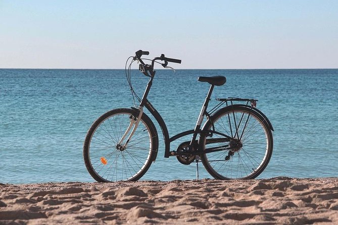 Palma de Mallorca Easy Bike Tour (Small Groups) - Stop 1 to Stop 2: Es Baluard for views and instant context