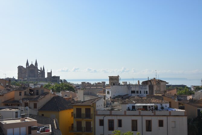 Palma de Mallorca Easy Bike Tour (Small Groups) - Stop 4: Parc de la Mar under the cathedral viewline
