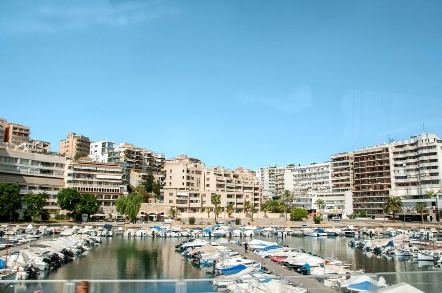 Palma de Mallorca: Full-Day Tour with Departure Options - Key things to know before you go