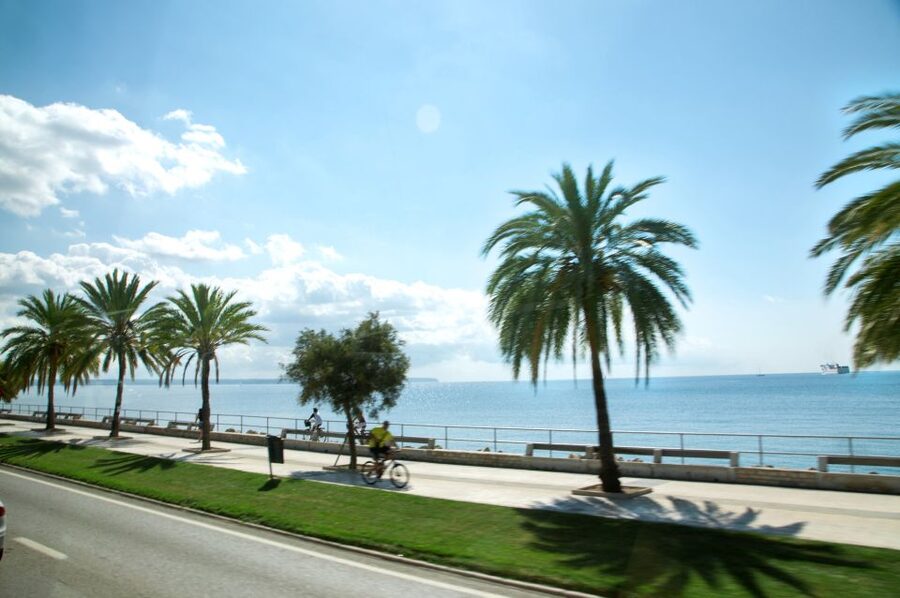 Palma de Mallorca: Full-Day Tour with Departure Options - Where the day starts: Cathedral drop-off and Parc de la Mar
