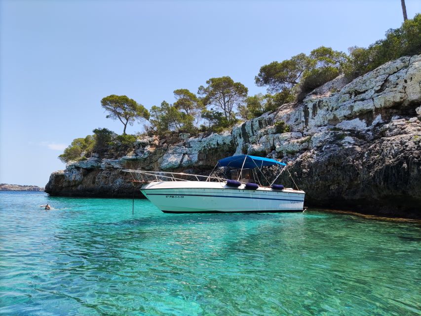 Palma de Mallorca: Full or Half-Day Boat Trip with Brunch - Palma de Mallorca from the water: why this trip feels special