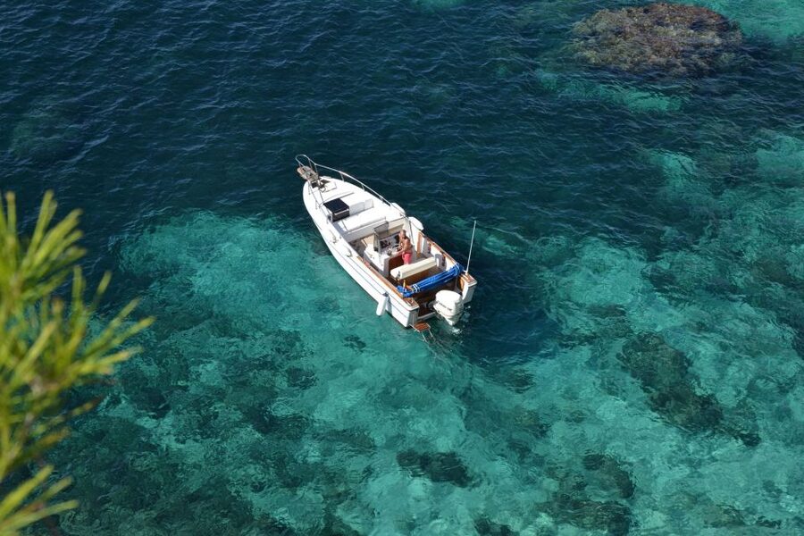 Palma de Mallorca: Full or Half-Day Boat Trip with Brunch - The brunch onboard: traditional Mallorcan food with sea views