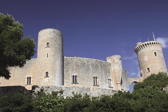 Palma de Mallorca Guided Tour with Hotel Pick up - Who Should Book This Tour (and Who Might Pass)