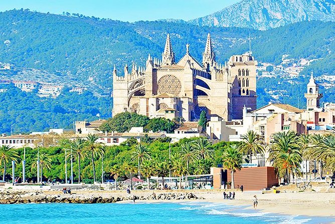 Palma de Mallorca Guided Tour with Hotel Pick up - Mercat de s’Olivar: A Modern Market Stop That Actually Feels Local