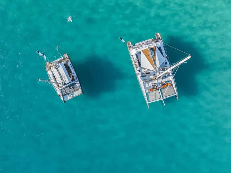 Palma de Mallorca: Half-Day Catamaran Tour with Buffet Meal - Key Points to Know Before You Board