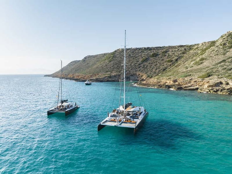 Palma de Mallorca: Half-Day Catamaran Tour with Buffet Meal - Cala Vella Swim Stop: When You Want Water That Looks Like It’s Filtered