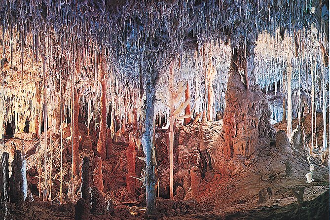 Palma de Mallorca Half-Day to Caves of Hams, Blue Cave and film - Why Caves of Hams works well from Palma