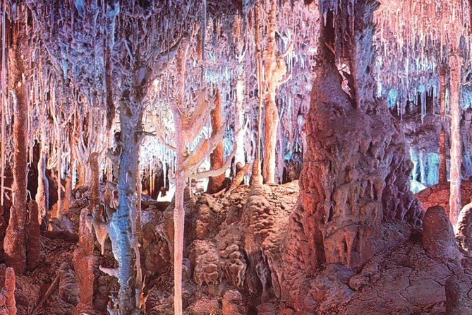 Palma de Mallorca Half-Day to Caves of Hams, Blue Cave and film - Value check: is $57.19 worth it?