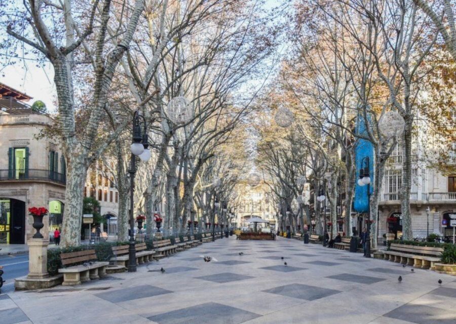 Palma de Mallorca: Old Town Guided Tour & Cathedral Visit - Should You Book This Palma Old Town + Cathedral Tour?
