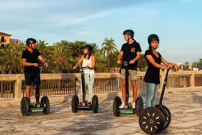 Palma de Mallorca Old Town Segway Tour - Almudaina Palace and the Cathedral Area: Your First Big Views