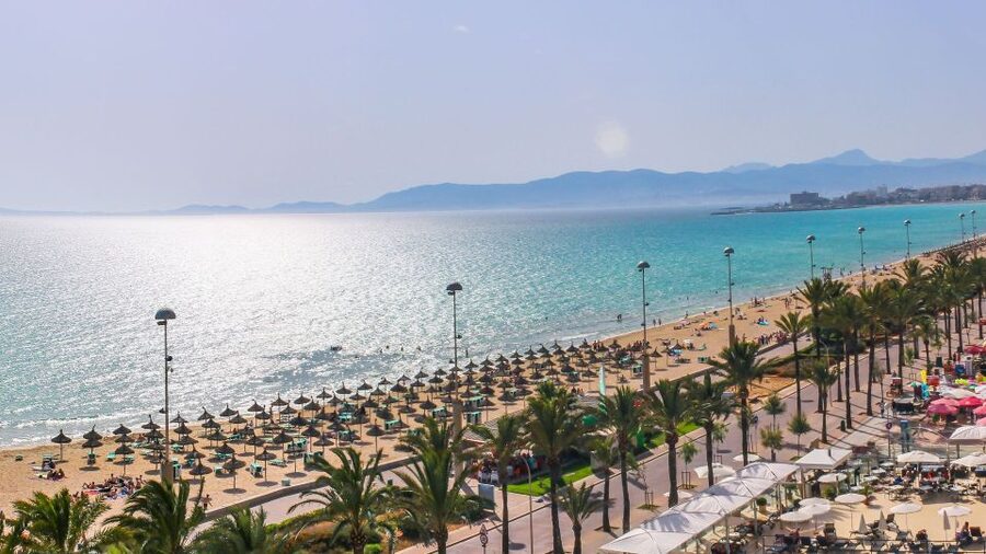 Palma de Mallorca: Palma and Playa de Palma - Price and Value: Why $51 Works for the Right Day