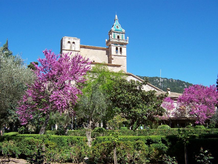 Palma de Mallorca: Palma and Valldemossa free time - What you’re really paying for (and when it’s worth it)