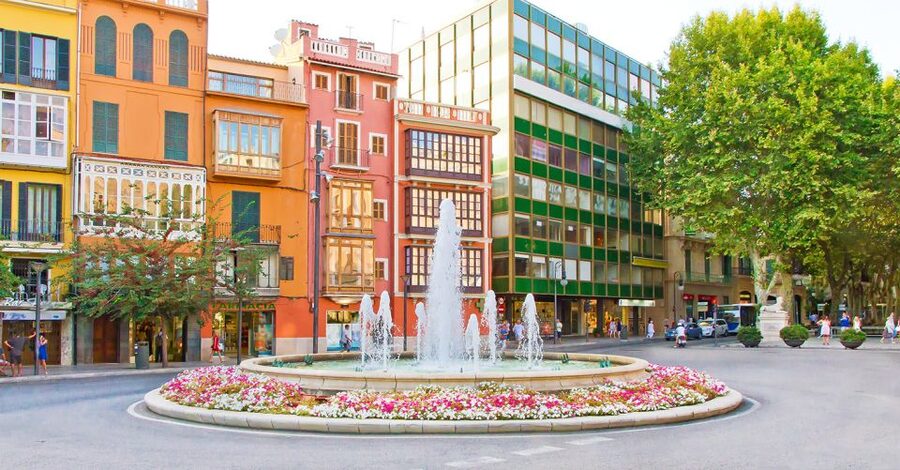 Palma de Mallorca: Palma and Valldemossa free time - Group day realities: what to expect on the ground