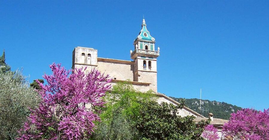 Palma de Mallorca: Palma and Valldemossa free time - Palma free time: how to use your hour without stress