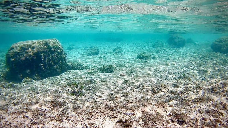 Palma de Mallorca: Private Boat Tour with Snorkel and Paddle - Drinks, picnic meal upgrade, and how the day stays comfortable