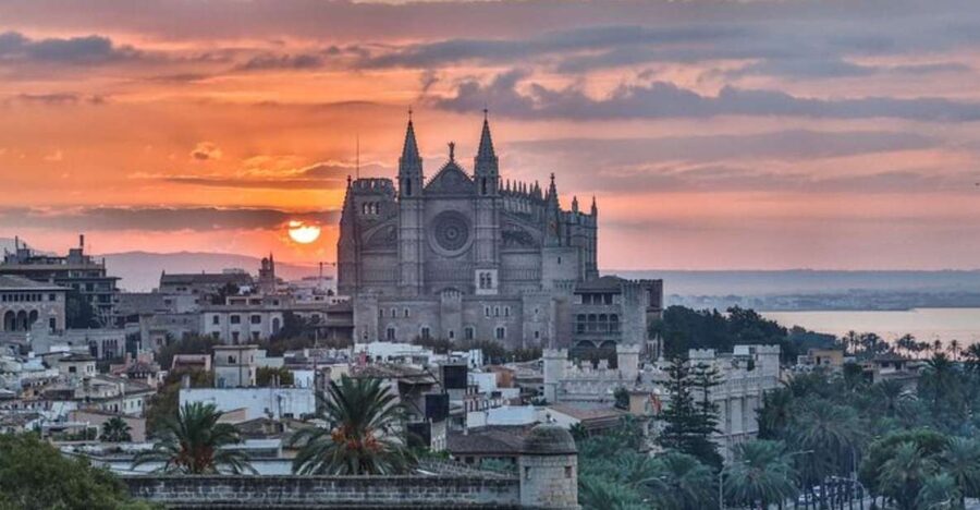 Palma de Mallorca: Private custom tour with a local guide - Why This Private Palma Walk Feels Worth It