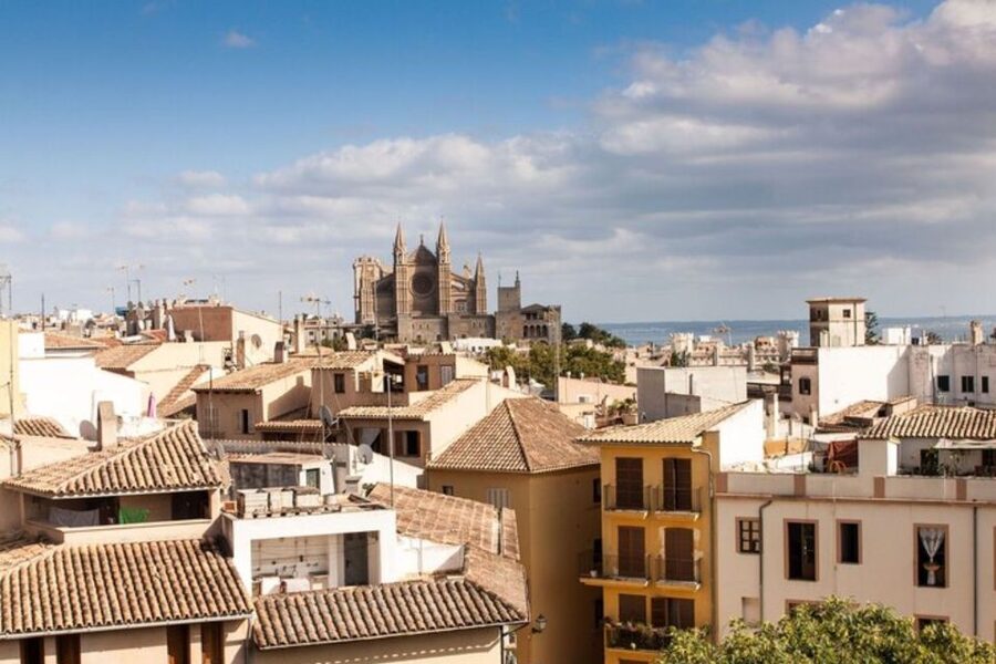 Palma de Mallorca: Private custom tour with a local guide - Walking + Public Transport: When It Helps
