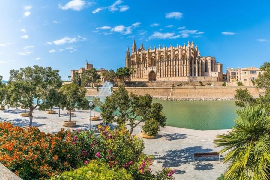 Palma de Mallorca: Private Custom Tour with a Local Guide - Meeting Palma Right: Pickup, Timing, and Port Reality
