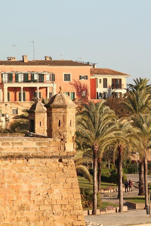 Palma de Mallorca Private Guided Walking Tour - Customizing on the spot: getting a tour that fits your interests