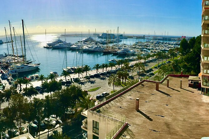 Palma de Mallorca Self-Guided Scavenger Hunt and Tour - Should You Book This Palma de Mallorca Scavenger Hunt?