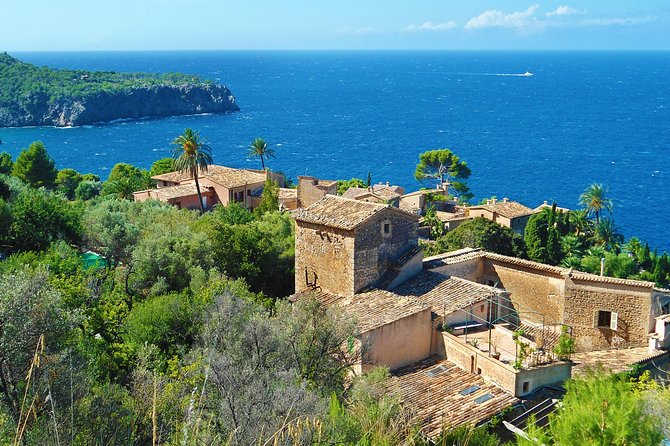 Palma de Mallorca Shore Excursion: Palma, Deia and Sa Foradada - FAQ
