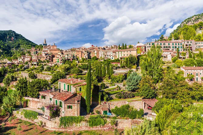 Palma de Mallorca Shore Excursion: Private Tour of Valldemossa, Soller and Serra de Tramuntana - Sóller and Port de Soller: when the day slows down