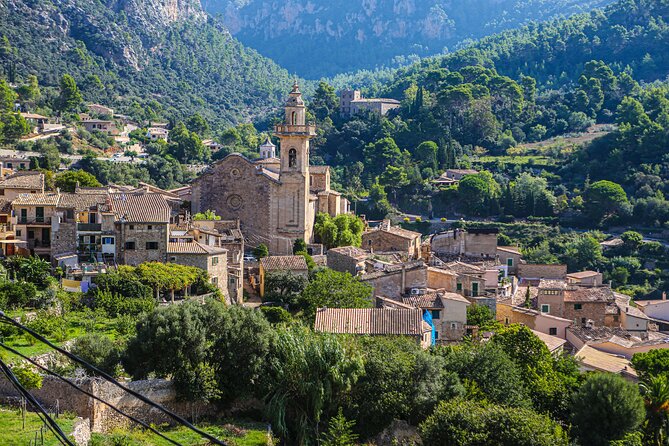 Palma de Mallorca Shore Excursion: Private Tour of Valldemossa, Soller and Serra de Tramuntana - Who this tour suits best (and who might want a different plan)