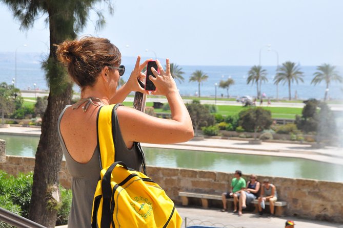 Palma de Mallorca Sightseeing Day Tour - The Port of Palma bus tour: La Seu and Almudaina from the best angle