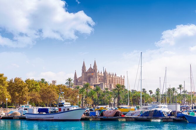 Palma de Mallorca Sightseeing Day Tour - Stop 1: Bellver Castle and the coastline photo moment