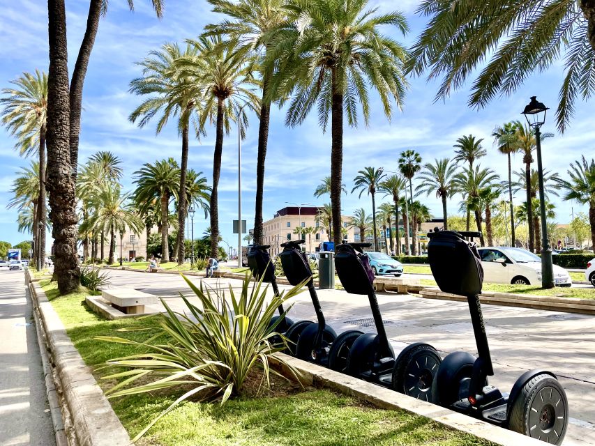 Palma de Mallorca: Sightseeing Segway Tour with Local Guide - Waterfront Bike Lanes: Mediterranean Sea Views on a Breeze-Forward Route