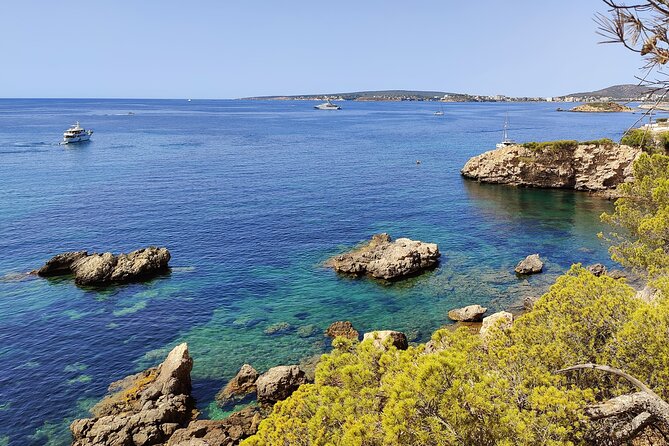 Palma de Mallorca: Small Group Tour by Locals in Hidden Coves - Key moments that make this tour worth your time